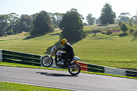Vintage-motorcycle-club;eventdigitalimages;mallory-park;mallory-park-trackday-photographs;no-limits-trackdays;peter-wileman-photography;trackday-digital-images;trackday-photos;vmcc-festival-1000-bikes-photographs